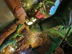 -恐龙探索乐园(磁器口店)