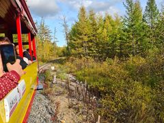 -莫尔道嘎国家森林公园