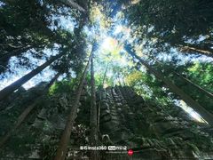 -梭布垭石林景区