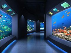 -石家庄海洋公园