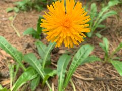 -帽儿山国家森林公园