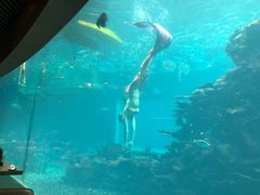 -海棠湾洲际-涛·海底餐厅·美人鱼·自助餐·海底隧道