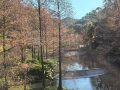 -云溪植物园