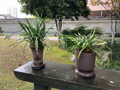 -墨池公园