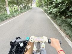-宜兴龙背山森林公园