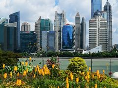 -北外滩滨江绿地