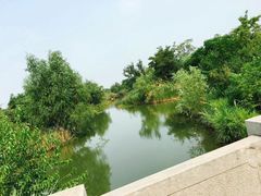 -梁鸿国家湿地公园