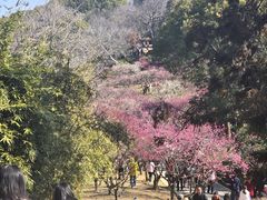 -无锡梅园公园