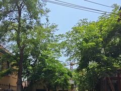 -荒岛书店(黄县路店)