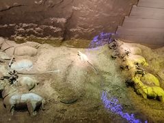 -秦始皇帝陵博物院-丽山园