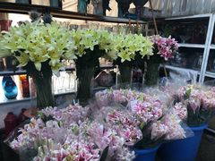 -秦美花卉(天朗·莱茵小城2期店)