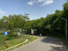 -东郊湿地公园