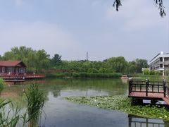-古塔公园