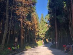 -山王坪喀斯特国家生态公园