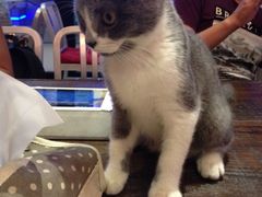 iphone_upload_pic-MIKAKU(万达广场上海宝山店)