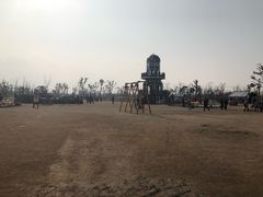 -上海长兴岛郊野公园