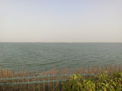 -江滩湿地公园