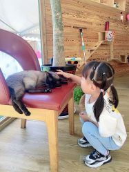 -萌宠亲子动物乐园(槐房万达店)