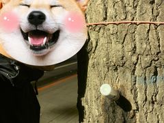 -老长春肉馆(创业大街店)