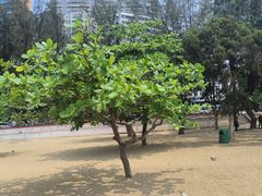 -浅水湾海滩儿童游乐场