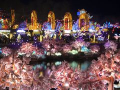 -淄博花灯齐彩城