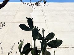 -三圣花乡旅游区