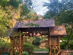 -上海市保健医疗中心