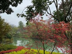 -西溪国家湿地公园