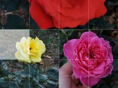 -人民公园(罗湖区)