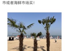 -巧克力渔家.小船海鲜家常菜(万平口店)