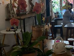 -ABCD咖啡屋(妇幼店)
