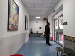 -北京赛佳动物医院