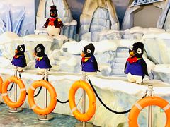 -帝企鹅自助餐厅•儿童岛•真企鹅(长隆企鹅酒店)