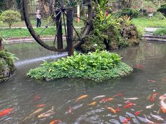-莫里热带雨林景区