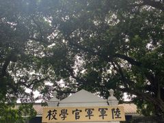 -长洲岛
