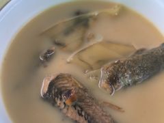 -巩本明鱼屋子
