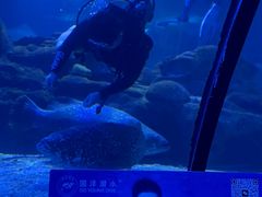 -太平洋海底世界