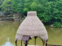 -美的鹭湖森林度假区