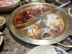 -小龙坎火锅(总店)