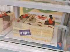 -维尔纳斯·生日蛋糕动物奶油冰淇淋蛋糕(人大店)