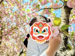 -幕燕滨江·长江观音景区