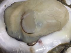 -蚝专家(北滘店)