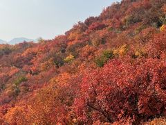 -周口店坡峰岭风景区
