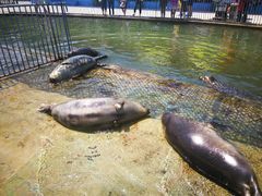 -渔岛海洋度假区