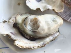 -大锅强·蒸海鲜青岛菜(吾悦广场店)