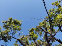 -四海公园(南山区)