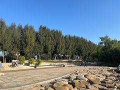 -宝安西湾红树林湿地公园