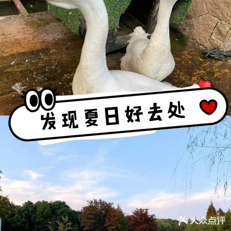 上海可以体验穿越的户外遛娃地[礼花]