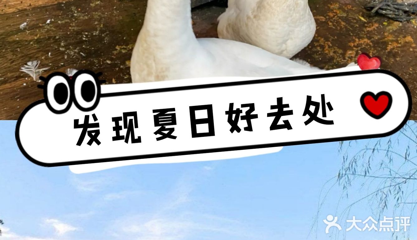 上海可以体验穿越的户外遛娃地[礼花]