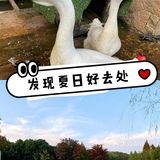 上海可以体验穿越的户外遛娃地[礼花]